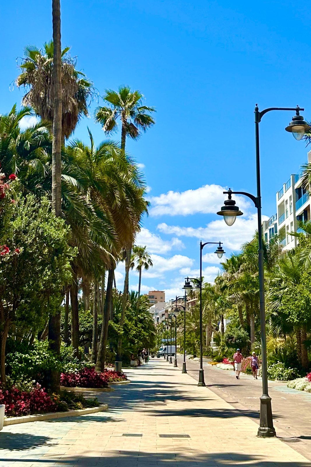 Estepona coast