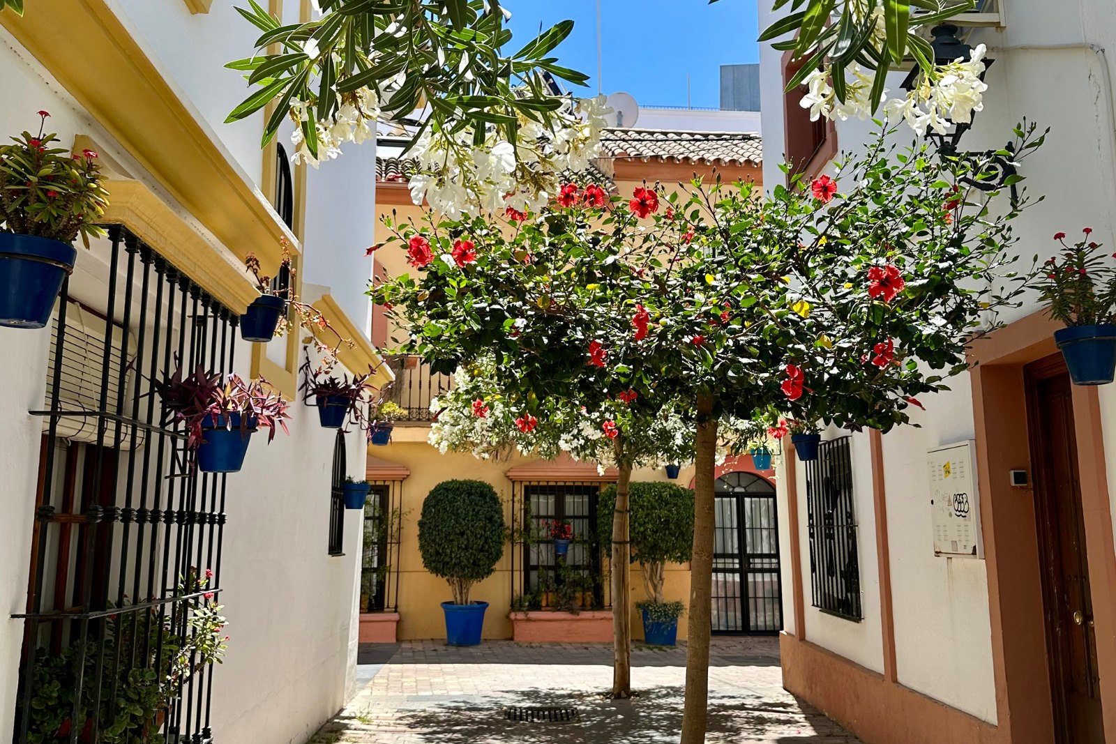 Estepona marina setting